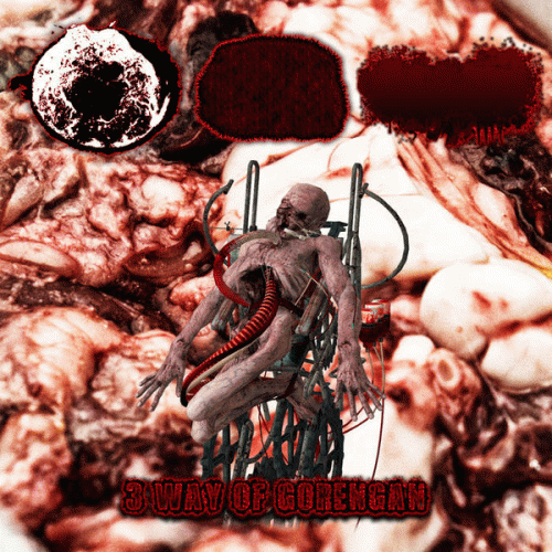 Blenncardichromodacryexgenitohaemgene : 3 Way of Gorengan